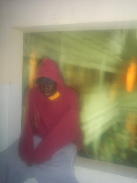 lil-tam